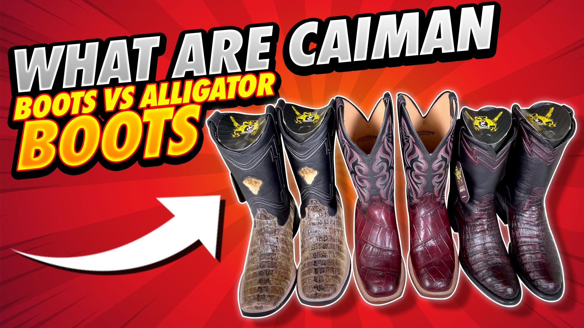 What Are Caiman Boots Vs Alligator Boots