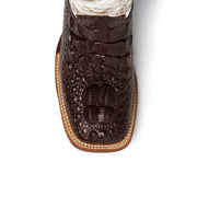 Women's Ferrini Rancher Caiman Print Boots Handcrafted Chocolate - yeehawcowboy