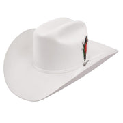 6x Stetson Rancher Fur Felt Hat With Feather White - yeehawcowboy